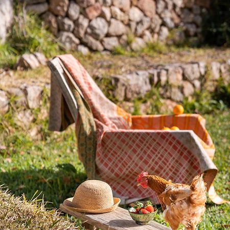 Agroturismo Son Viscos Valldemossa (Mallorca) Exterior foto