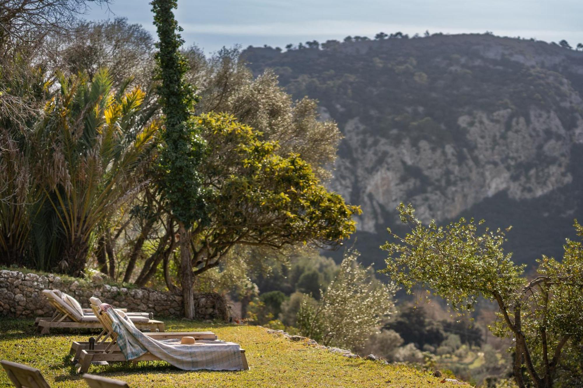 Agroturismo Son Viscos Valldemossa (Mallorca) Exterior foto