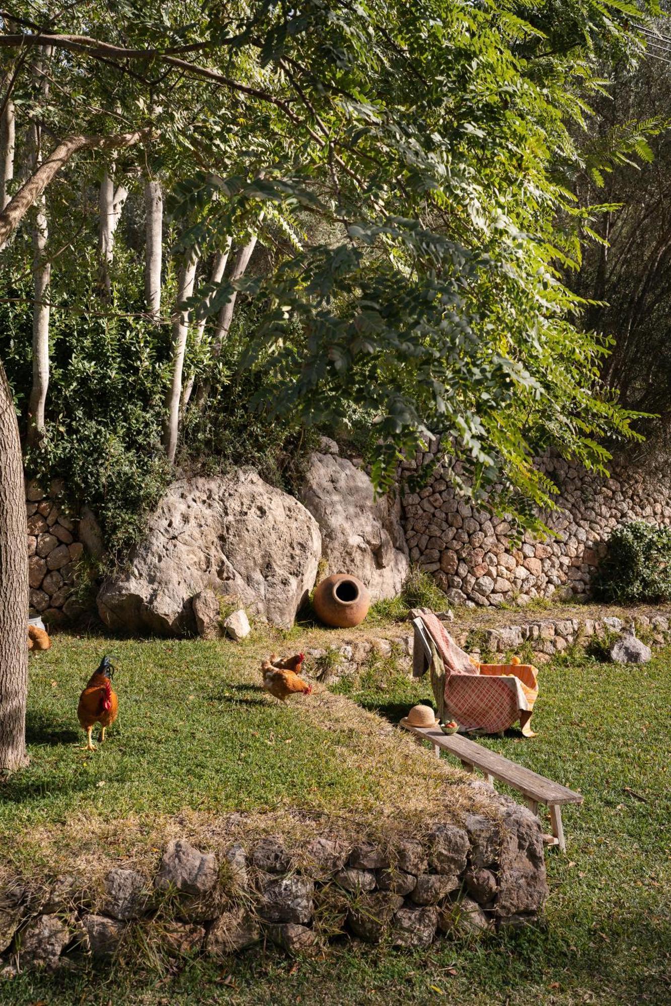 Agroturismo Son Viscos Valldemossa (Mallorca) Exterior foto